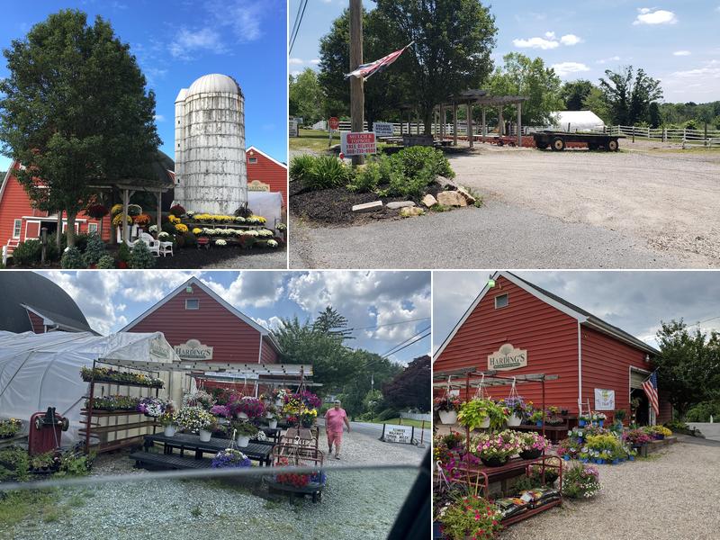 Harding's Willow Brook Farms