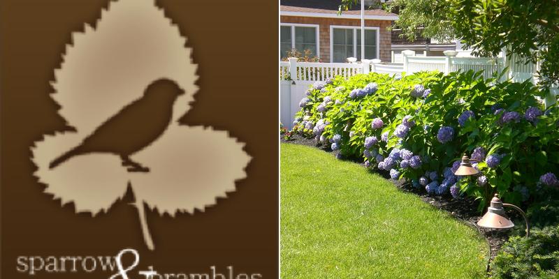 Sparrow & Brambles