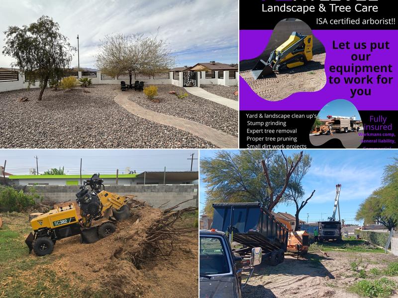 NextLevel Landscape and tree care