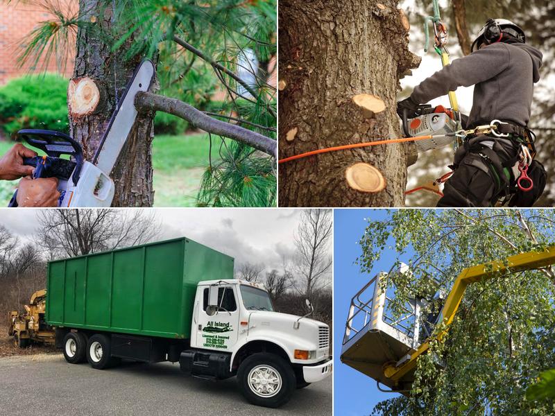 All Island Tree Service Corp