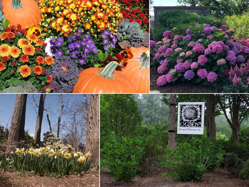 Ogden's Design & Plantings, Inc.