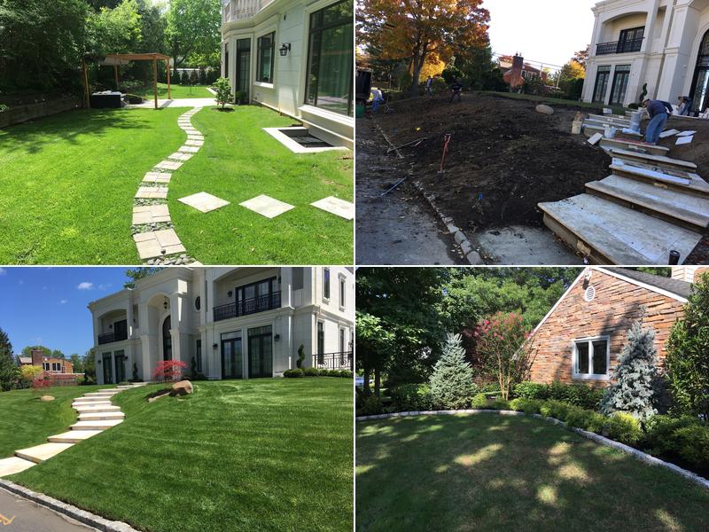 DM Landscaping Design Corp