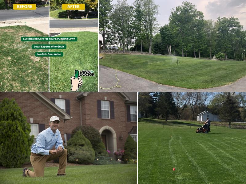 Lawn Doctor of Kingston, Poughkeepsie & Hudson