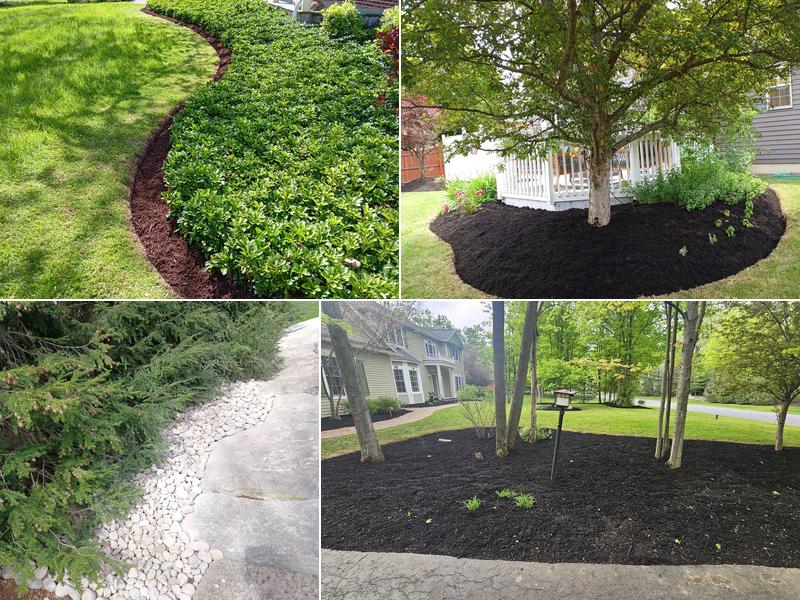 Francisco's Landscaping