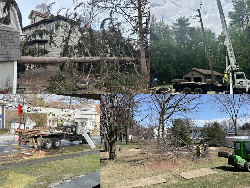 Constable Tree Service