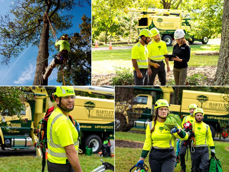 Bartlett Tree Experts