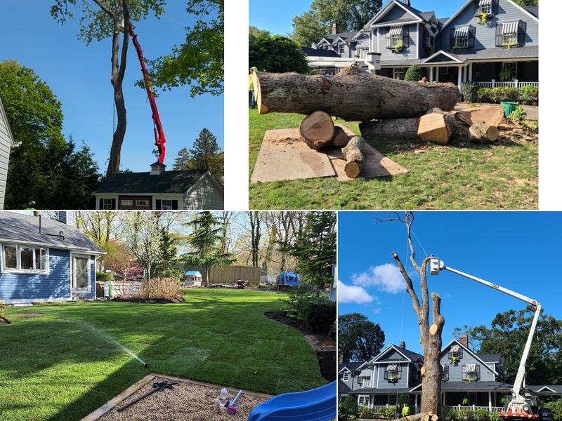 Cutting Edge Tree and Landscaping LLC