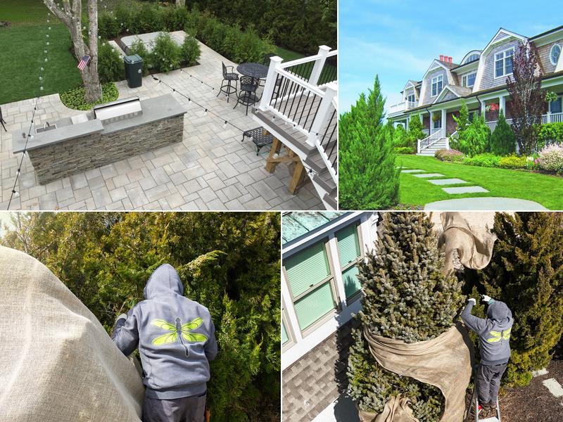 Dragonfly Landscape Design Ltd.