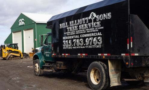 Bill Elliott & Son's Tree Services 19023 NY-177, Adams Center New York 13606