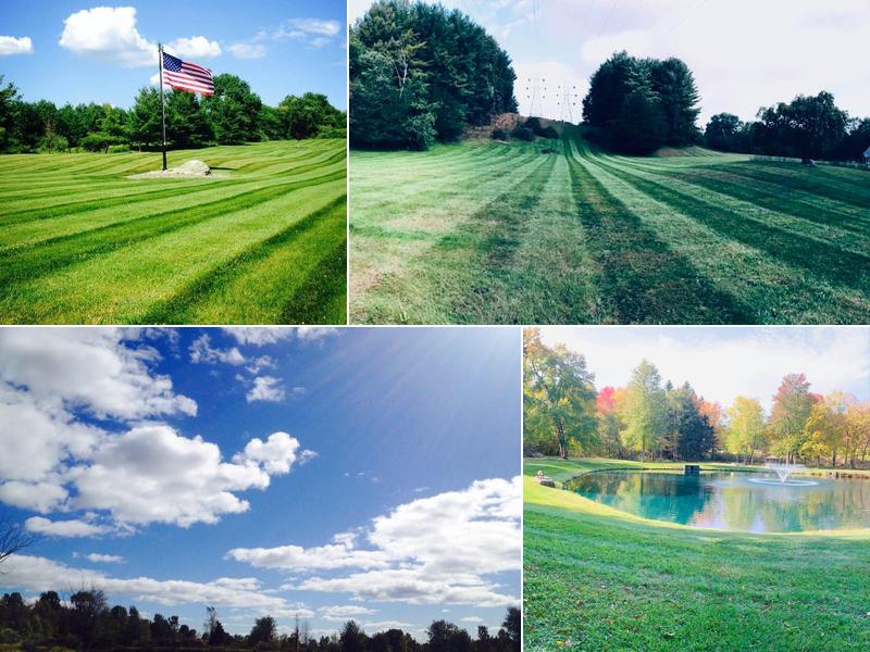 Green Grass Landscape Services Inc