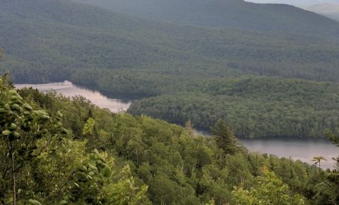 Olympic Tree & Land Management Inc 1006 NYS Rte, Ray Brook New York 12977