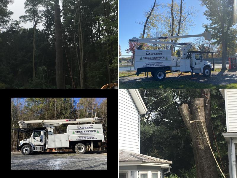 Lawless Tree Service