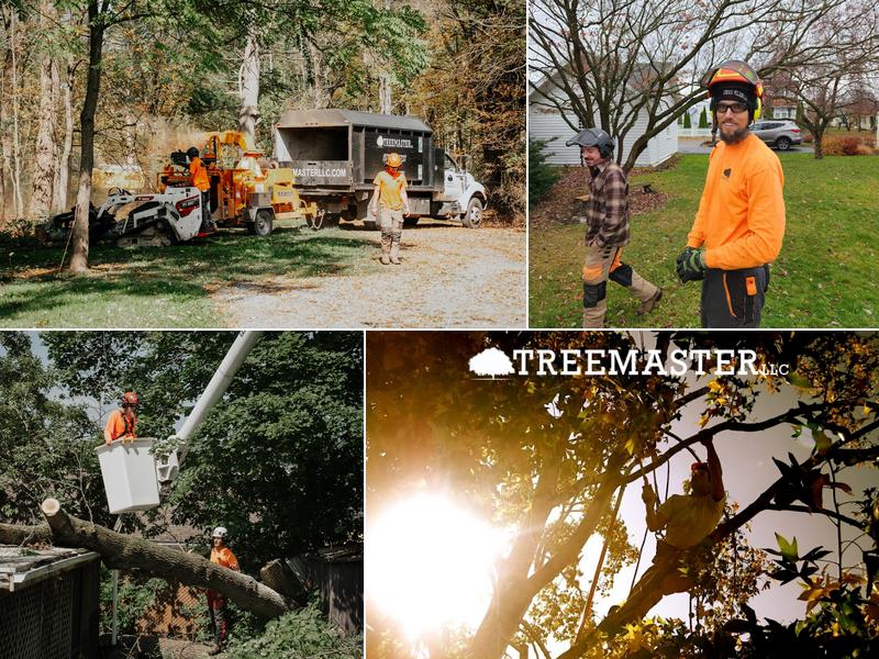 TreemasterLLC