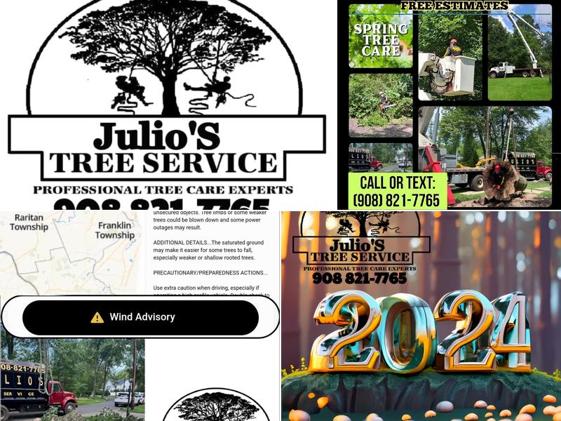 Diego's Tree Services