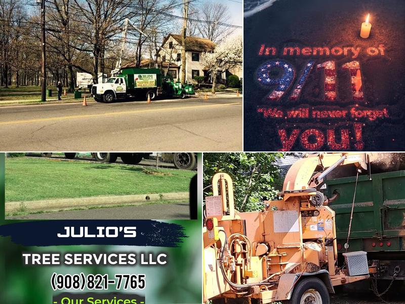 Julio's Tree Services LLC