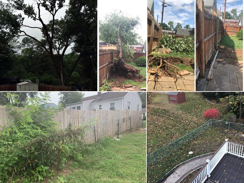 Jose Tree Service & Landscaping