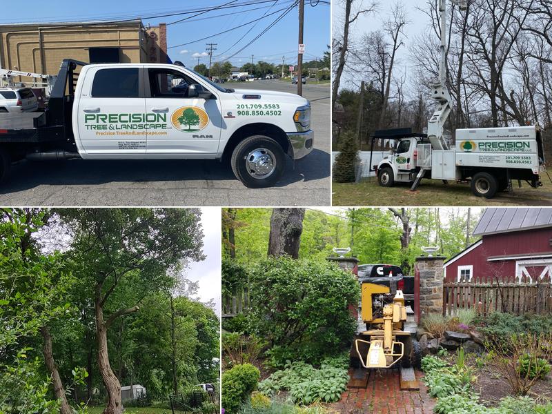 Precision Tree & Landscape LLC