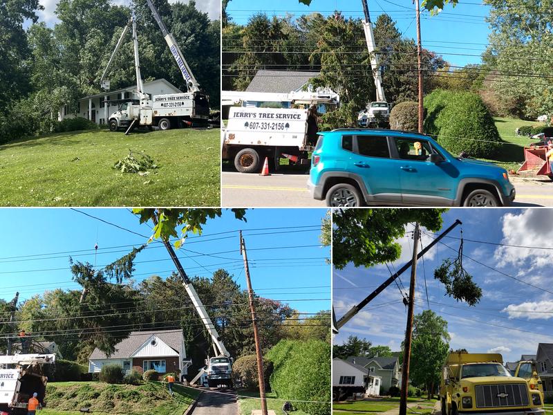 Jerry's Tree Service