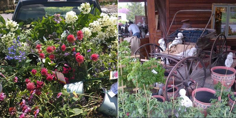 Aspin Tree & Lawn Care