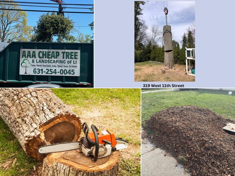 AAA Tree and Landscaping