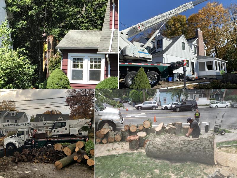 Ramiro's Tree Service Inc.