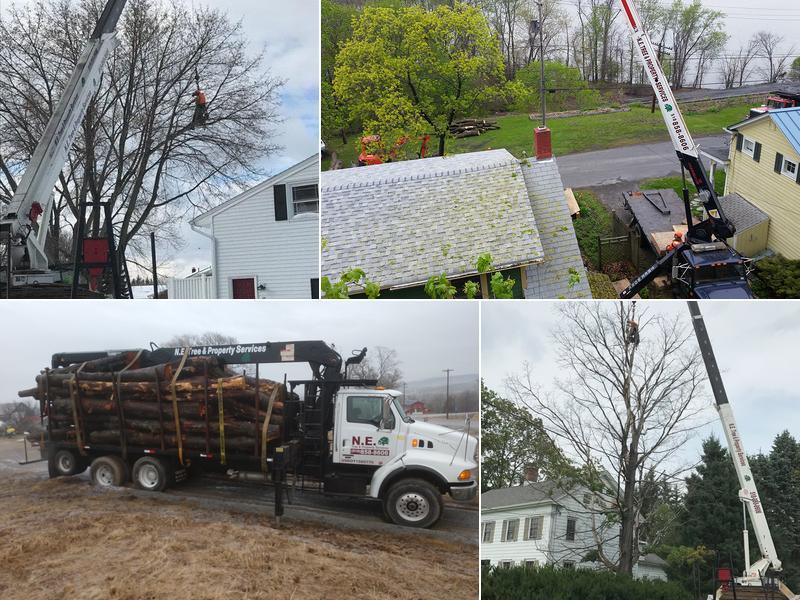 NE Tree and Property Service