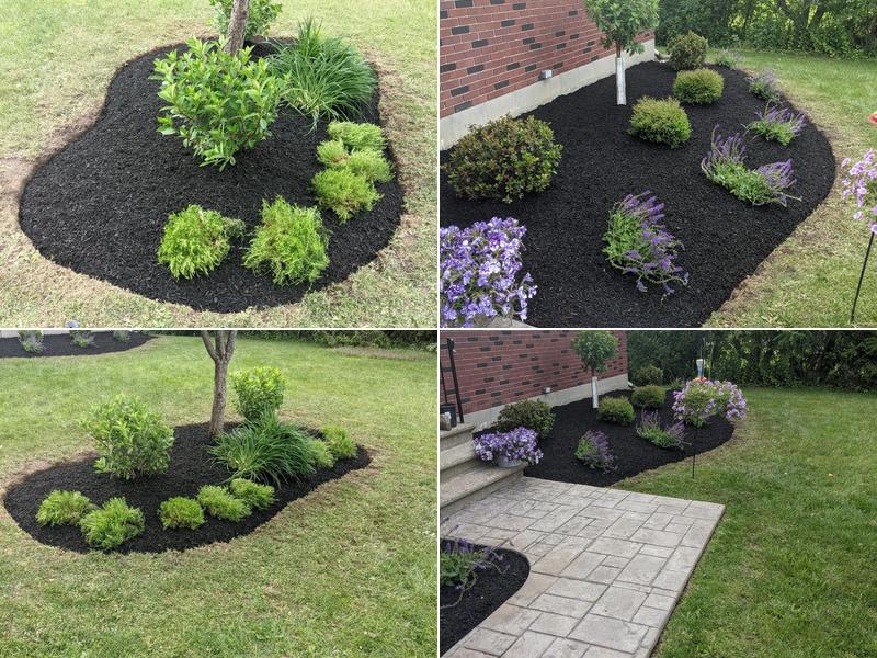 Delanson Gardens, LLC