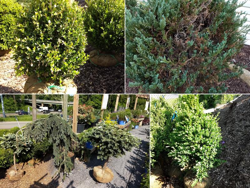 Gherardi Landscaping