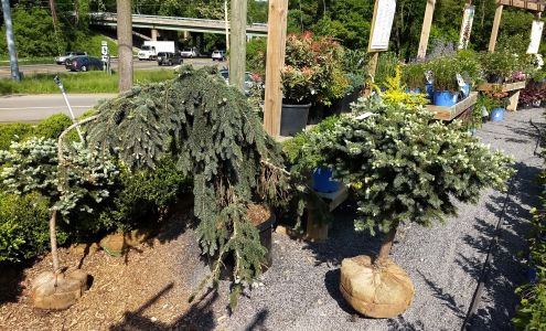 Gherardi Landscaping