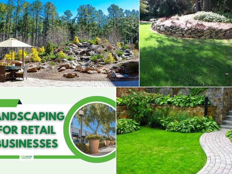 Vision Green Landscape