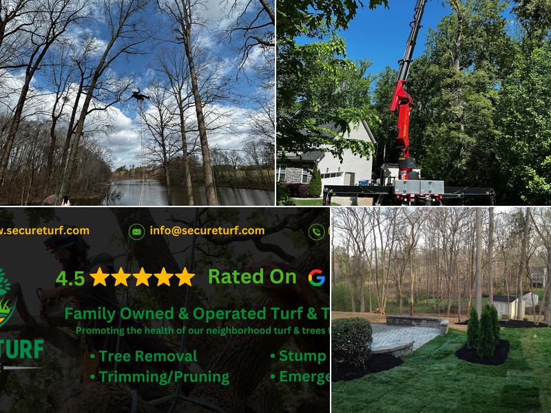 Secure Tree Services