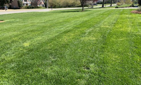 Aguilera Lawn Service