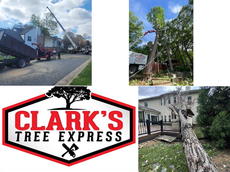 Clarks Tree Express LLC