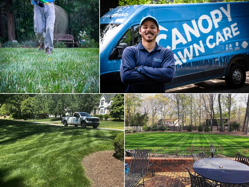 Canopy Lawn Care Raleigh