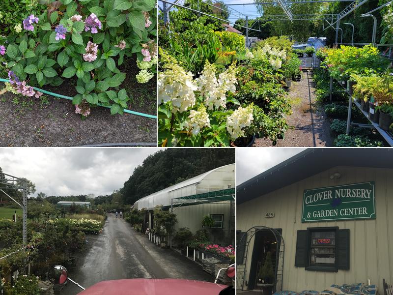 Clover Lawn and Landscape.