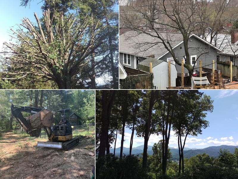 Clear View Tree Services LLC