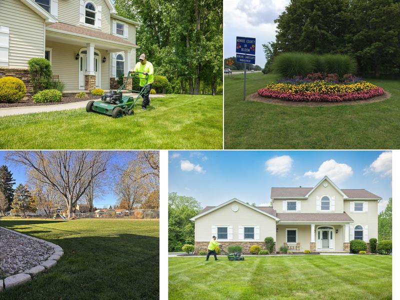 Trimline Landscape Management