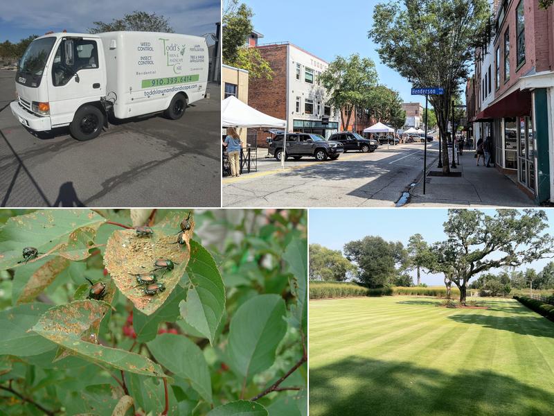 Todd's Lawn and Landscape Care