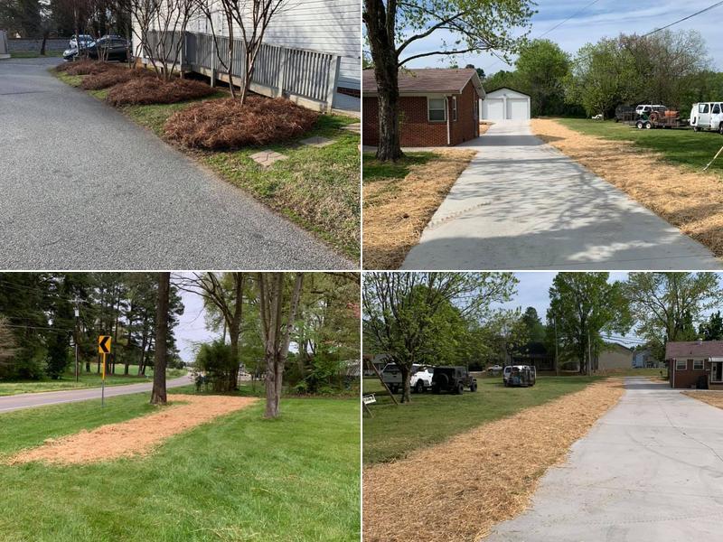 Richard Raffaldt Landscaping