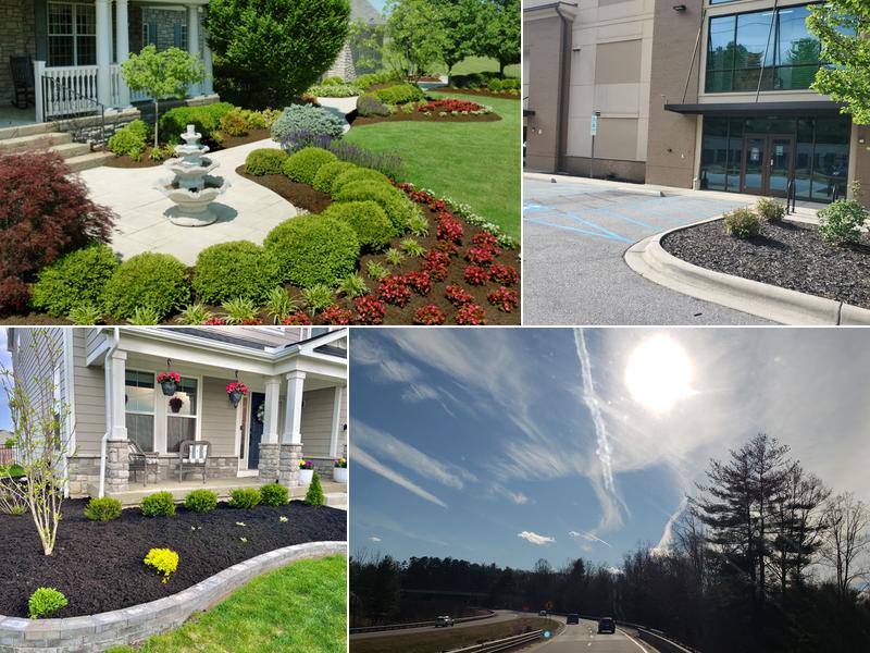 JOSE'S LANDSCAPING AND TREE SERVICES