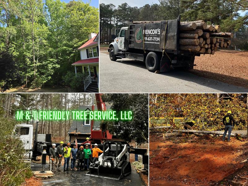 M & T Friendly Tree Service LLC