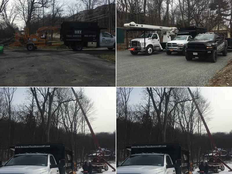 Hickory & Landscaping Tree Service Monroe