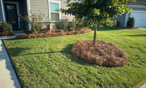 Premier Pine Straw LLC 72 Twin Brook Ln, Pageland South Carolina 29728