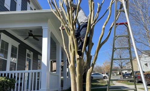 Carolina Cuts Lawn & Landscape