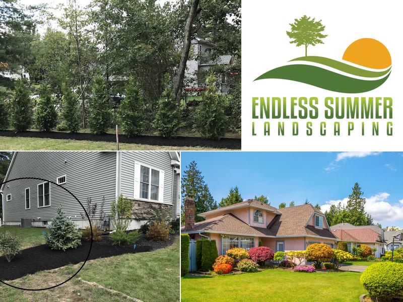 Endless Summer Landscaping