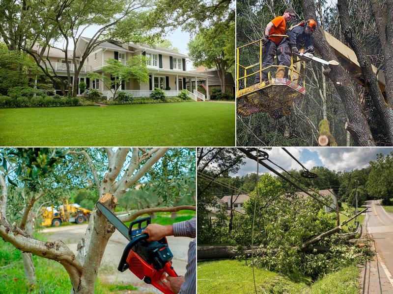 USA Tree Service LLC