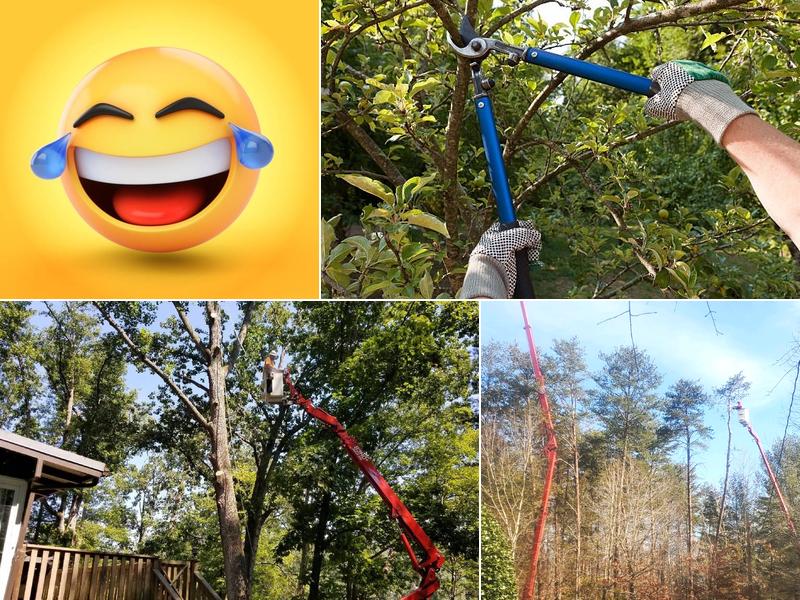 Bobby's Tree Service, Inc