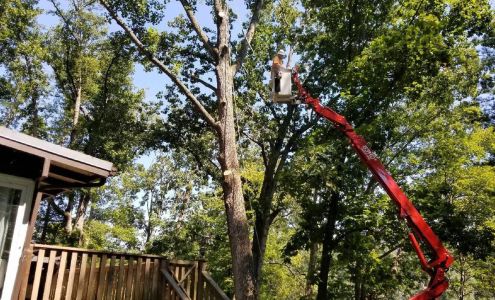 Bobby's Tree Service, Inc