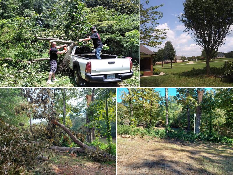 Walnut Ridge Tree Care & Lawn Service