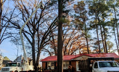 Robertson Tree Company LLC